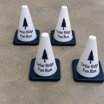 12-Inch Mini Cones