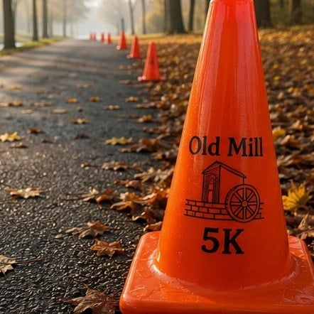 Branded traffic cones with logo