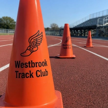 Customized traffic cones for sports and schools